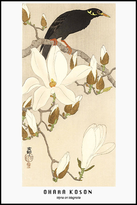 Ohara Koson - Myna on Magnolia Poster