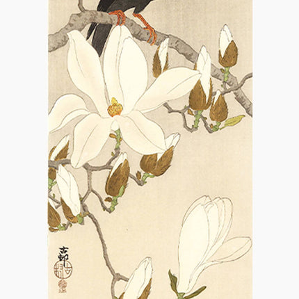 Ohara Koson - Myna on Magnolia Poster