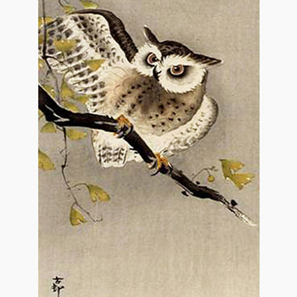 Ohara Koson - Owl on gingko branch Poster