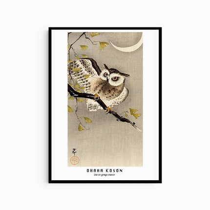 Ohara Koson - Owl on gingko branch Poster
