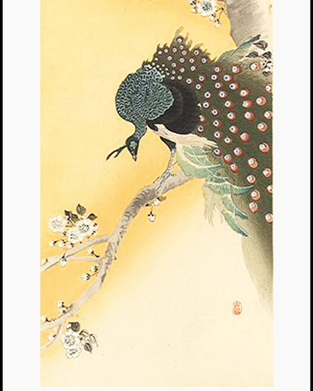 Ohara Koson - Peacock on a Cherry Blossom Tree Poster
