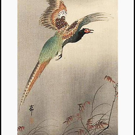 Ohara Koson - Pheasant in a Flight Poster