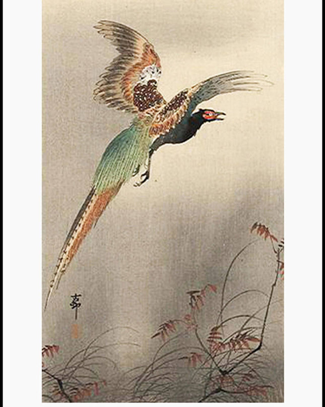 Ohara Koson - Pheasant in a Flight Poster