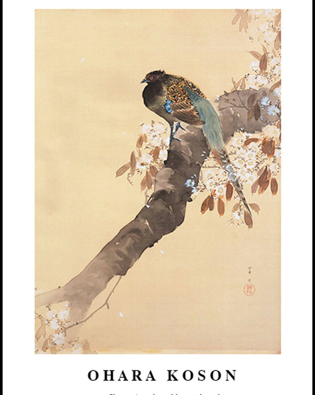 Ohara Koson - Pheasant on cherry blossom branch Poster
