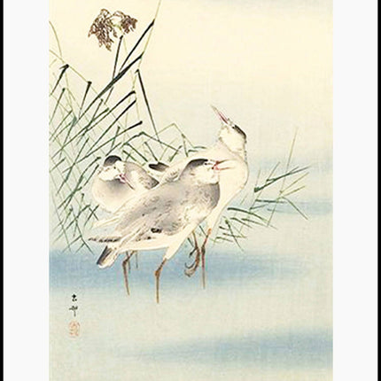 Ohara Koson - Sandpipers Poster