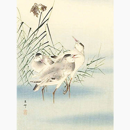 Ohara Koson - Sandpipers Poster