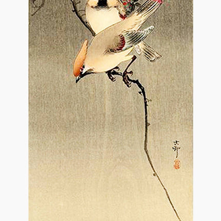 Ohara Koson - Starlings and Cherry Tree Poster