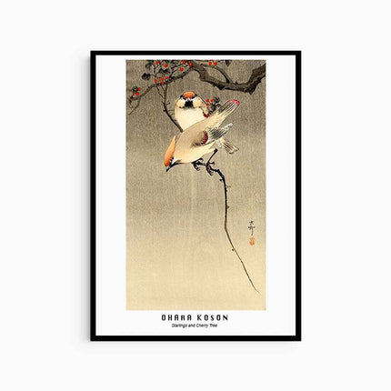 Ohara Koson - Starlings and Cherry Tree Poster
