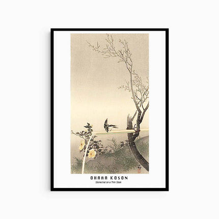 Ohara Koson - Stonechat on a Thin Stalk Poster