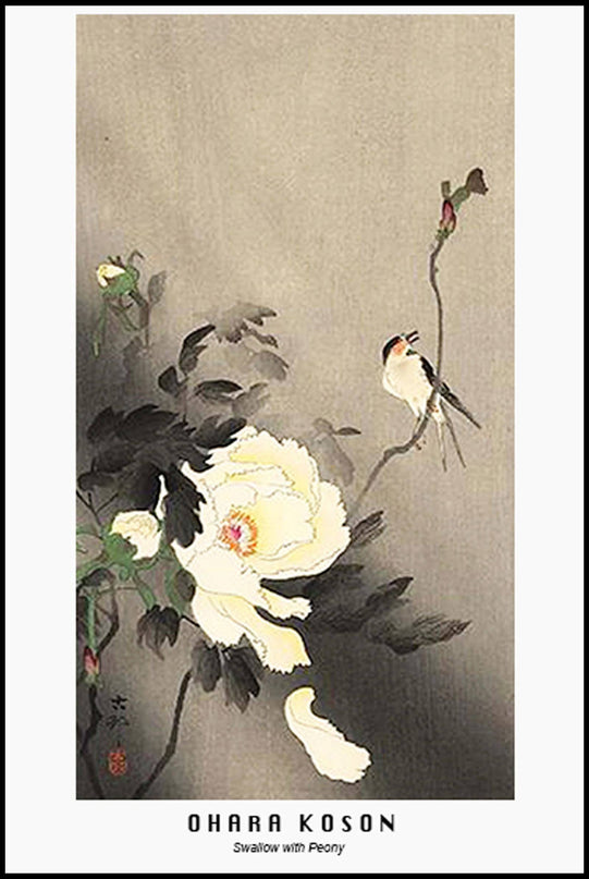 Ohara Koson - Swallow with Peony Poster