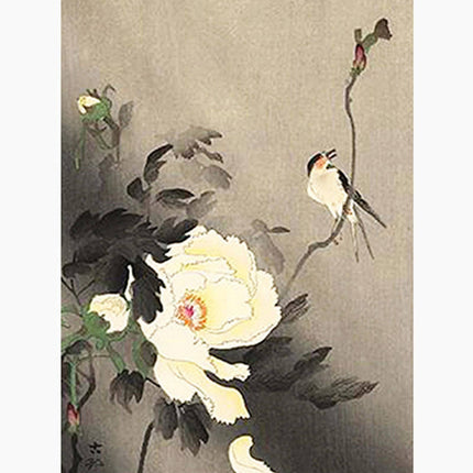 Ohara Koson - Swallow with Peony Poster