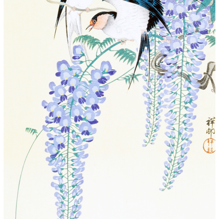 Ohara Koson - Swallows and Wisteria