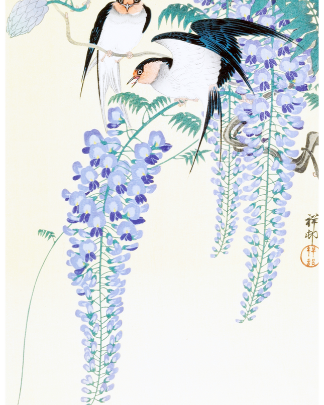 Ohara Koson - Swallows and Wisteria