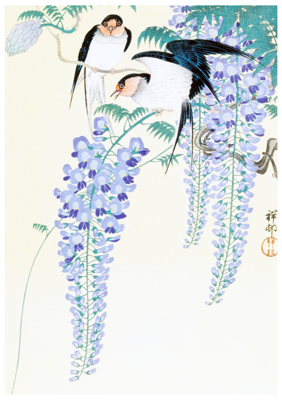 Ohara Koson - Swallows and Wisteria