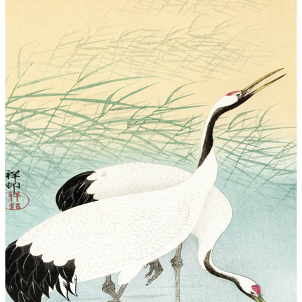 Ohara Koson - Two Cranes