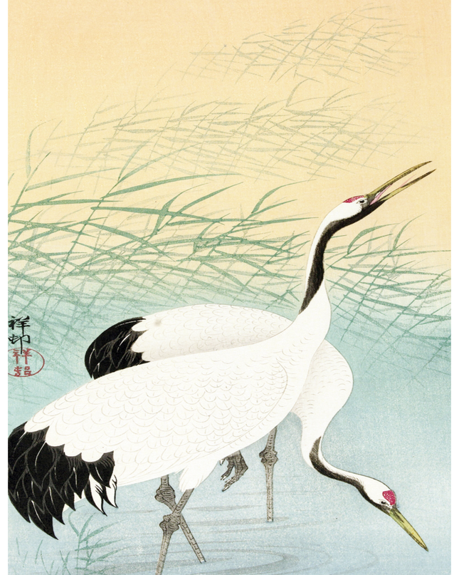 Ohara Koson - Two Cranes