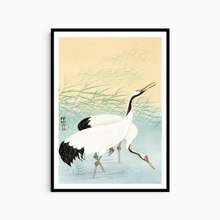 Ohara Koson - Two Cranes