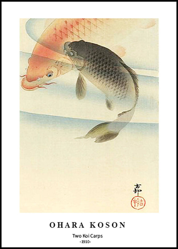 Ohara Koson - Two Koi Carps Poster