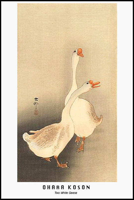 Ohara Koson - Two White Geese Poster