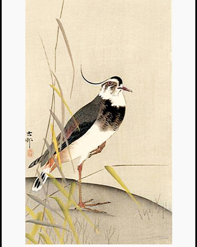 Ohara Koson - Wagtail Poster