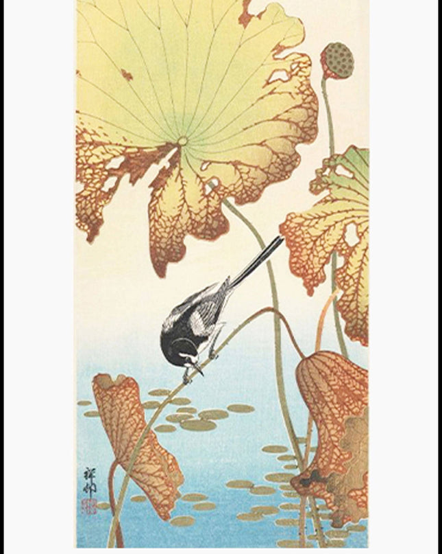 Ohara Koson - Wagtail and Lotus Poster