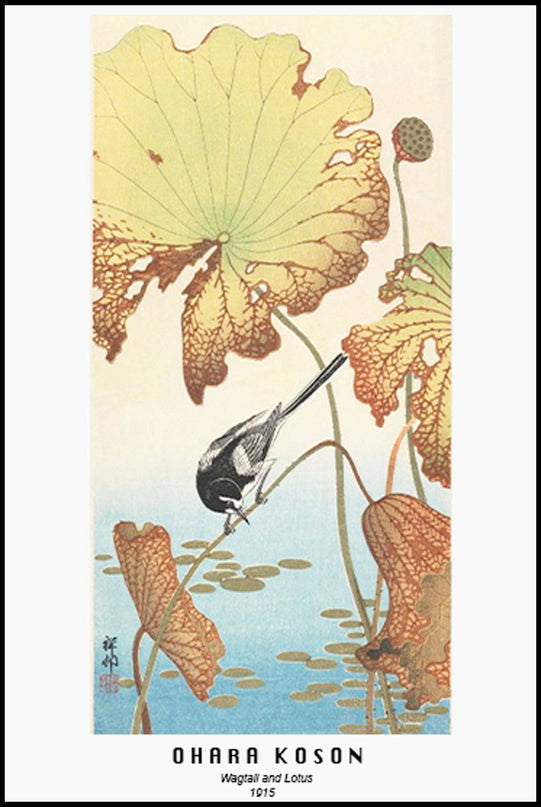 Ohara Koson - Wagtail and Lotus Poster