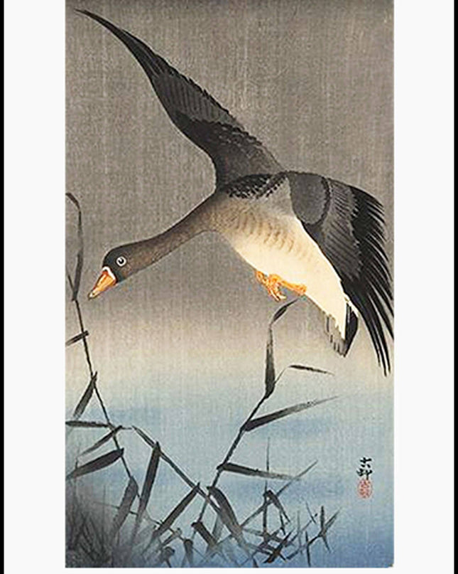 Ohara Koson - White Fronted Goose Poster