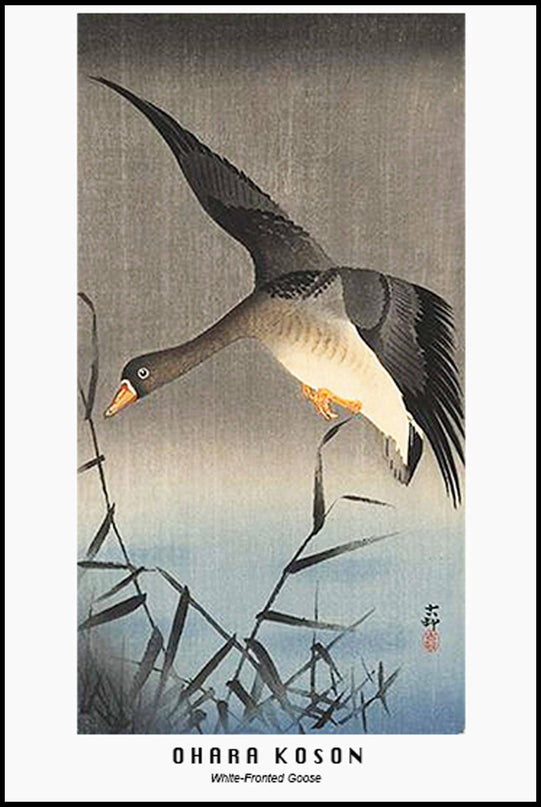 Ohara Koson - White Fronted Goose Poster