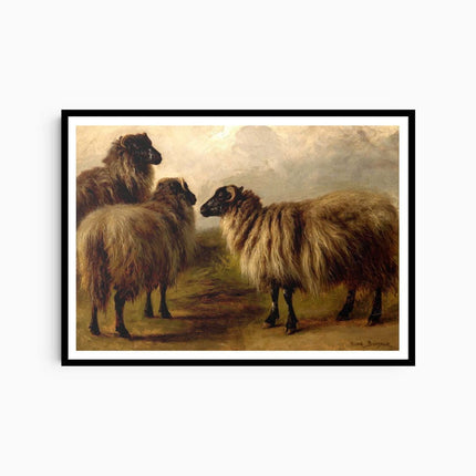 Rosa Bonheur - Three Wooly Sheep