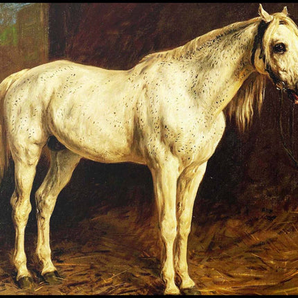 Rosa Bonheur - White Horse