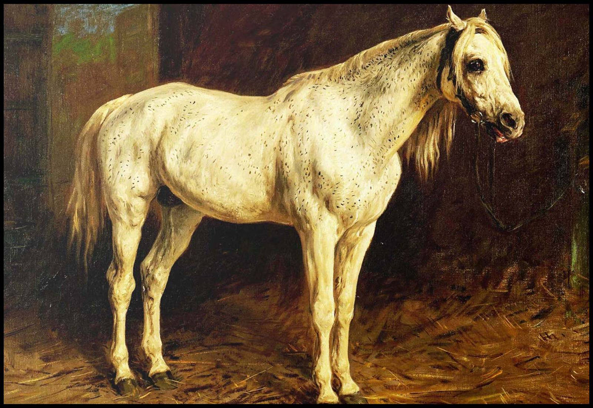 Rosa Bonheur - White Horse
