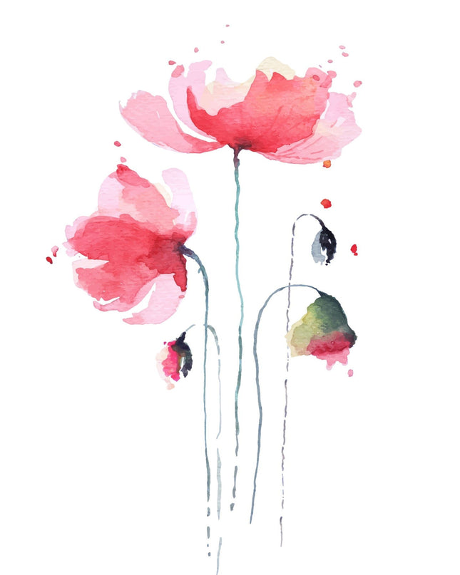 Rose Watercolor Poster