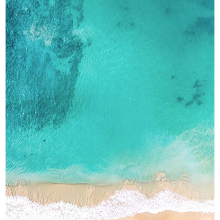 Sri Lankan Beach Poster