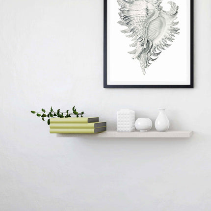 Stone Seashell Poster