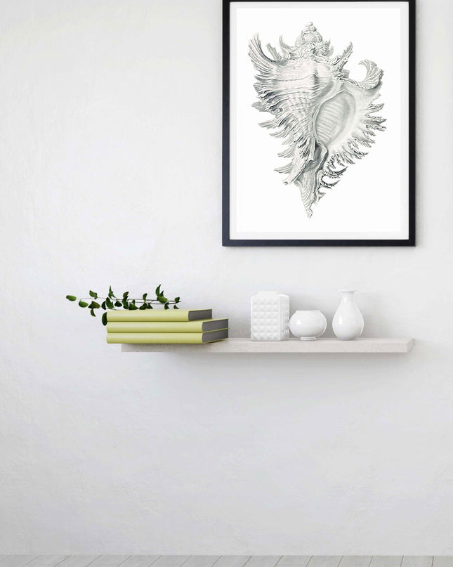 Stone Seashell Poster