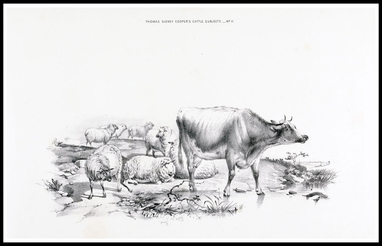 Thomas Sidney Cooper - Thomas Sydney Cooper’s cattle subjects Pl.11 Poster