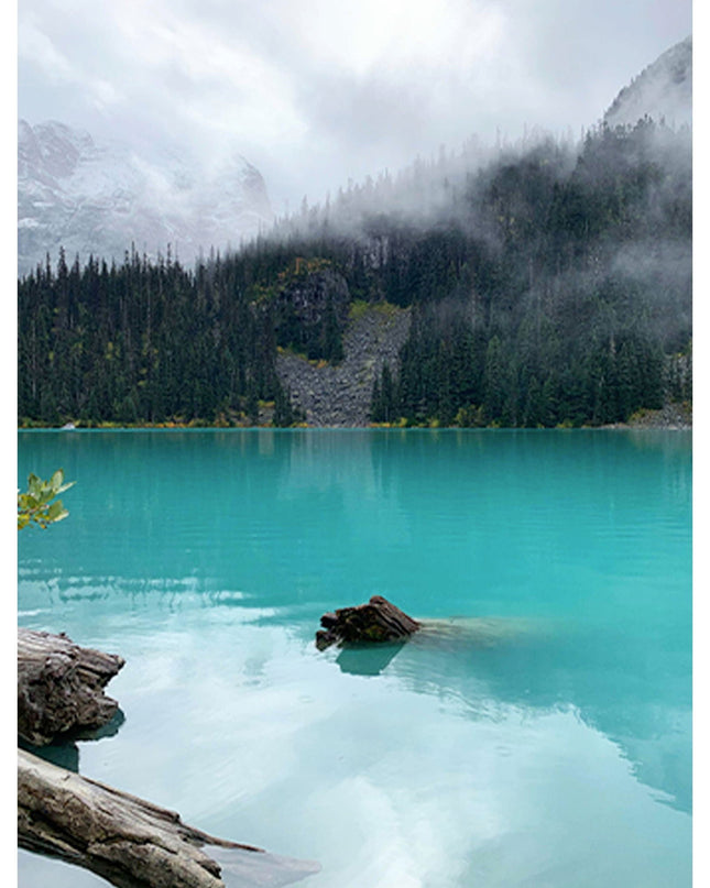 Trees In A Green Lake Poster