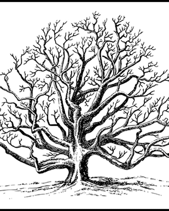 Trees Line Art Poster