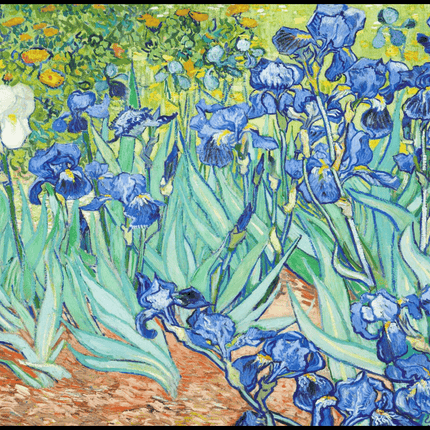 Vincent Van Gogh - Irises