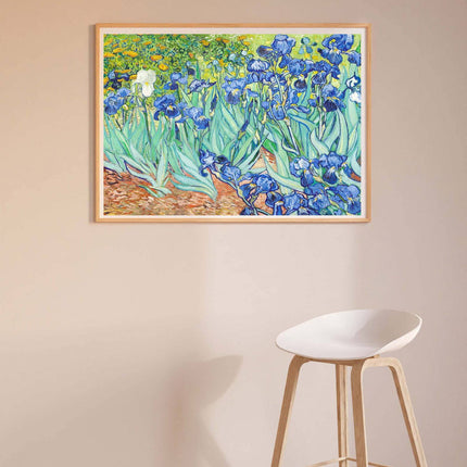 Vincent Van Gogh - Irises