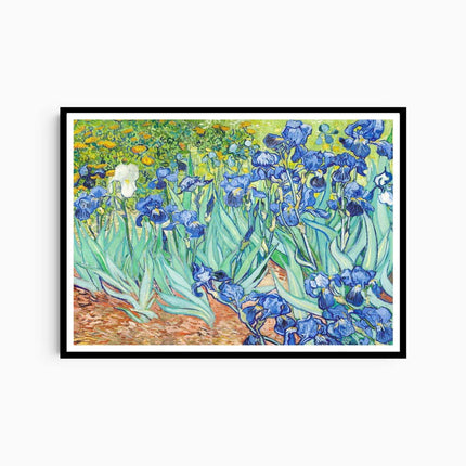 Vincent Van Gogh - Irises