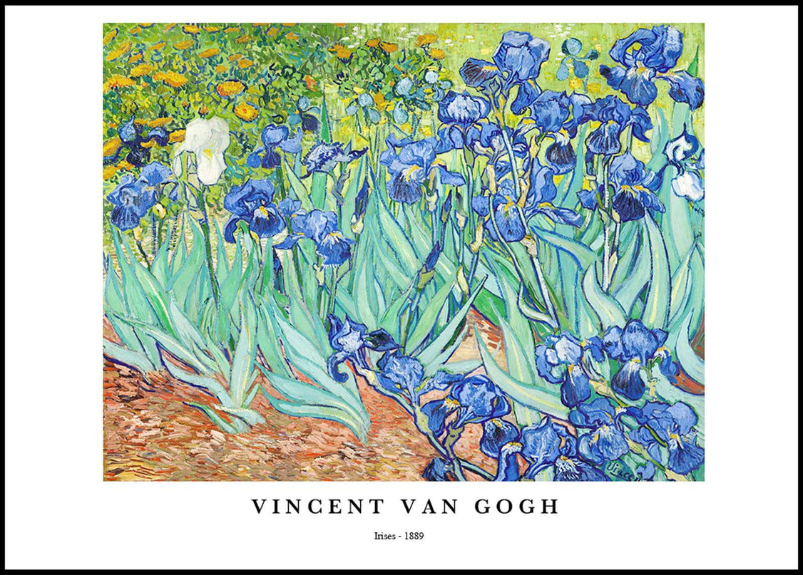 Vincent Van Gogh - Irises Poster