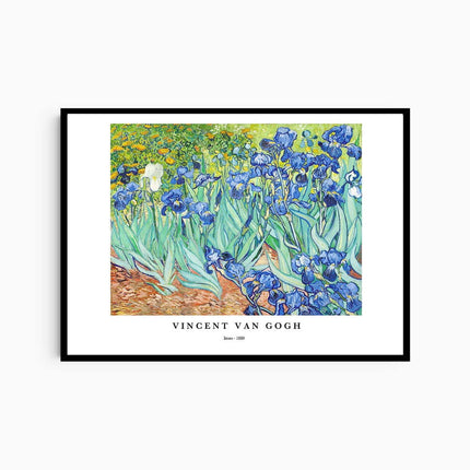 Vincent Van Gogh - Irises Poster