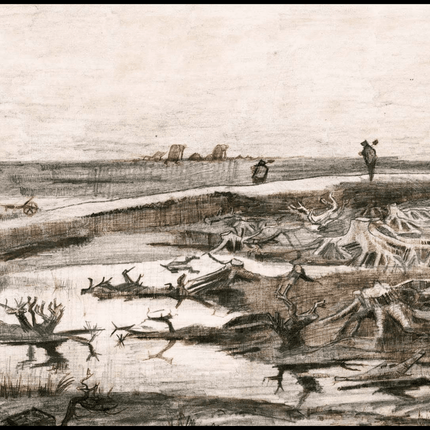 Vincent Van Gogh - Landscape with Bog Trunks