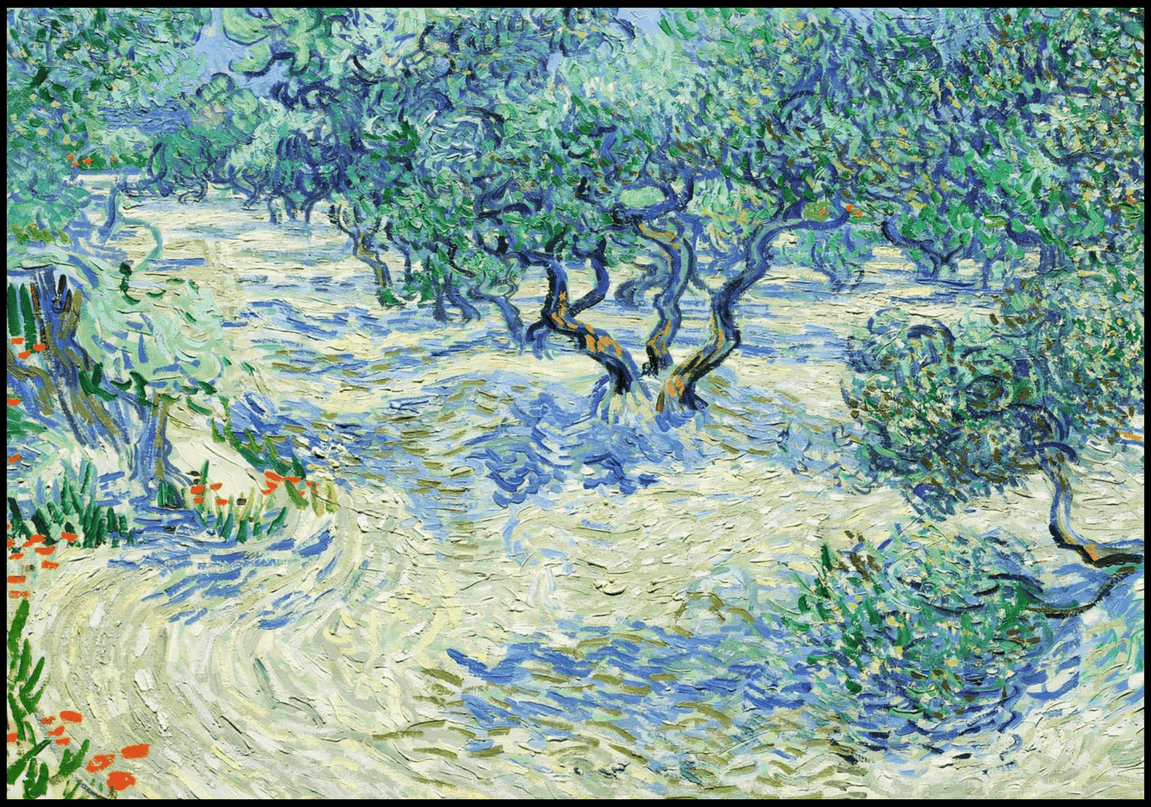 Vincent Van Gogh - Olive Orchard
