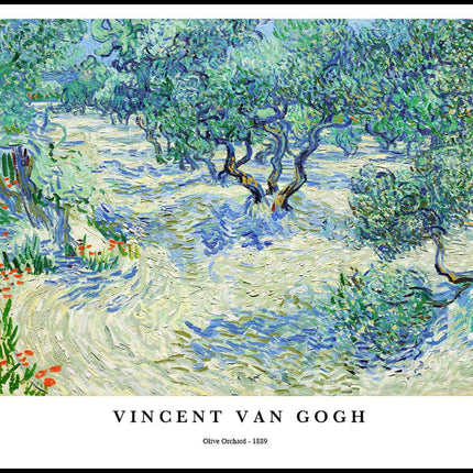 Vincent Van Gogh - Olive Orchard Poster