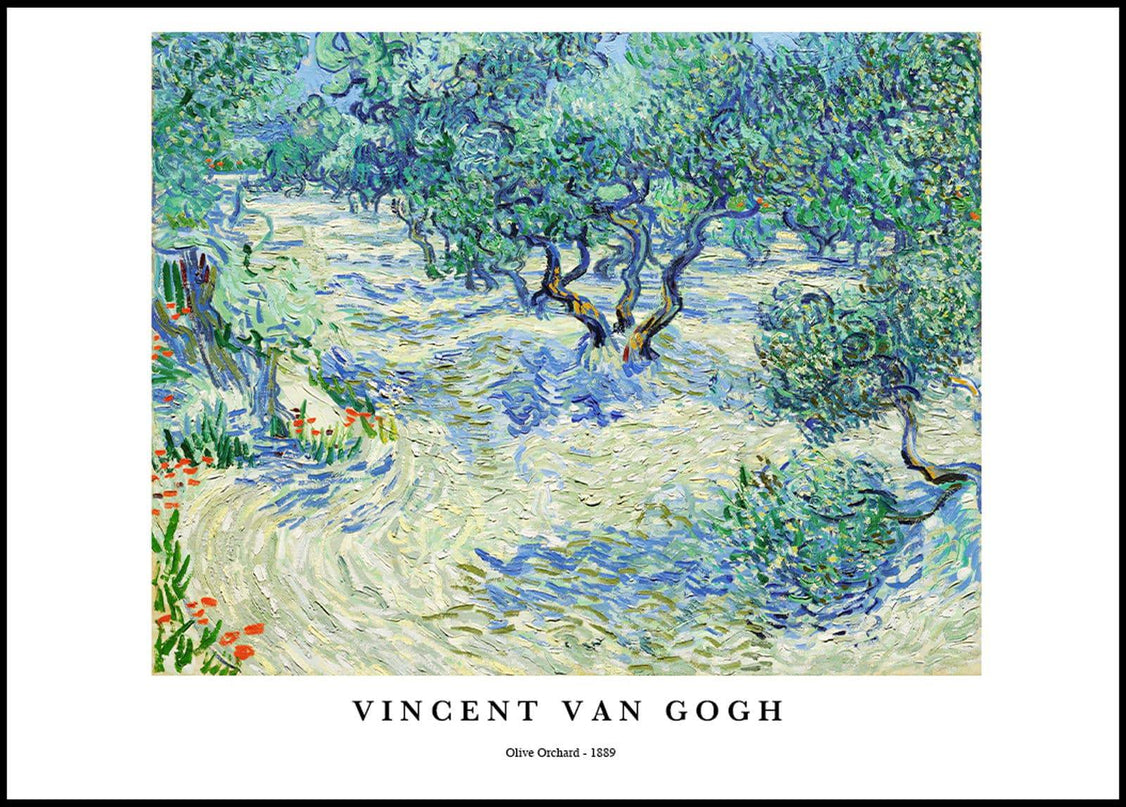 Vincent Van Gogh - Olive Orchard Poster