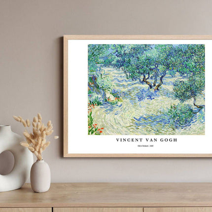 Vincent Van Gogh - Olive Orchard Poster