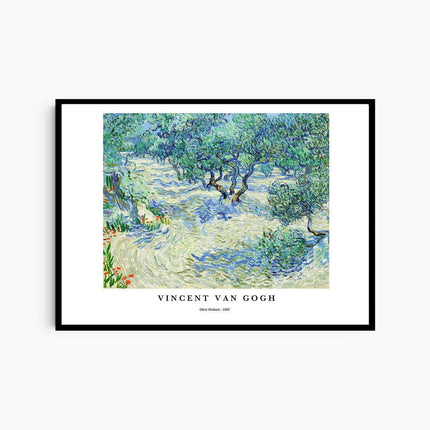Vincent Van Gogh - Olive Orchard Poster