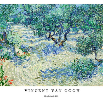 Vincent Van Gogh - Olive Orchard Poster